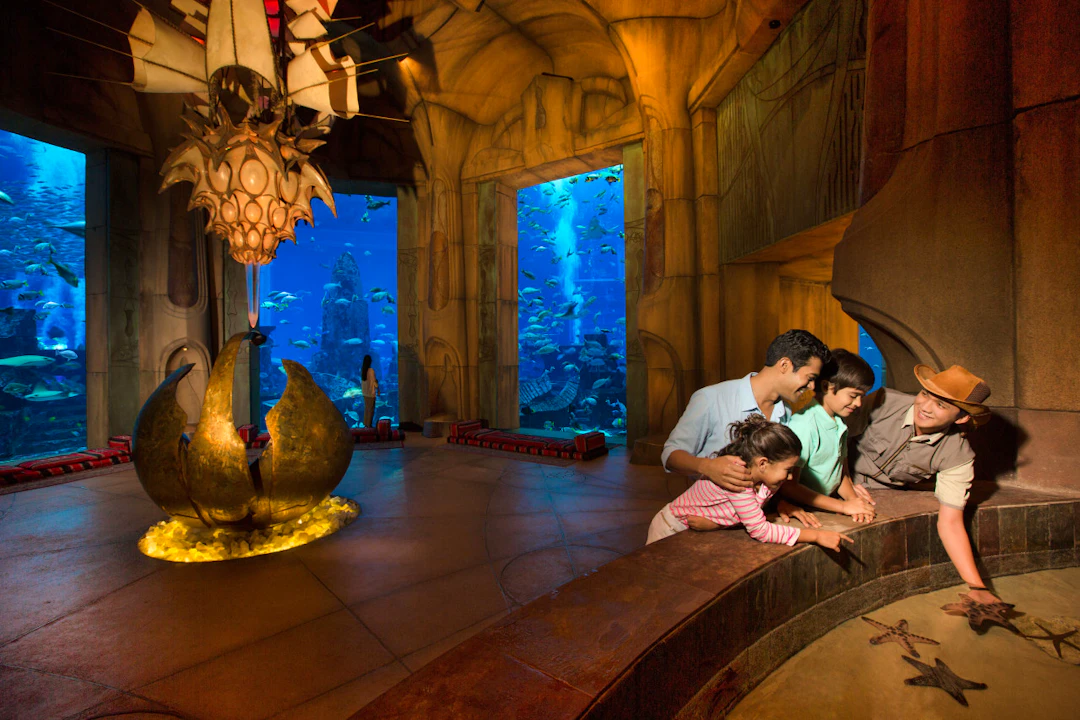 The Lost World Aquarium Tickets (Formerly The Lost Chambers) Location
